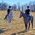 Hillsboro Hounds Boxing Day Hunt